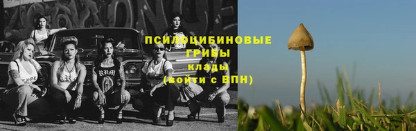 a pvp Алексеевка