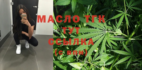 СК Алексин